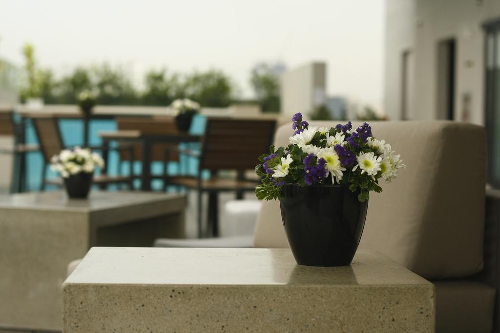 Privato Quezon 3*